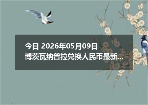 今日 2026年05月09日 博茨瓦纳普拉兑换人民币最新汇率行情